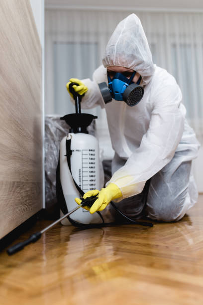 Best Indoor Pest Control  in Wapakoneta, OH